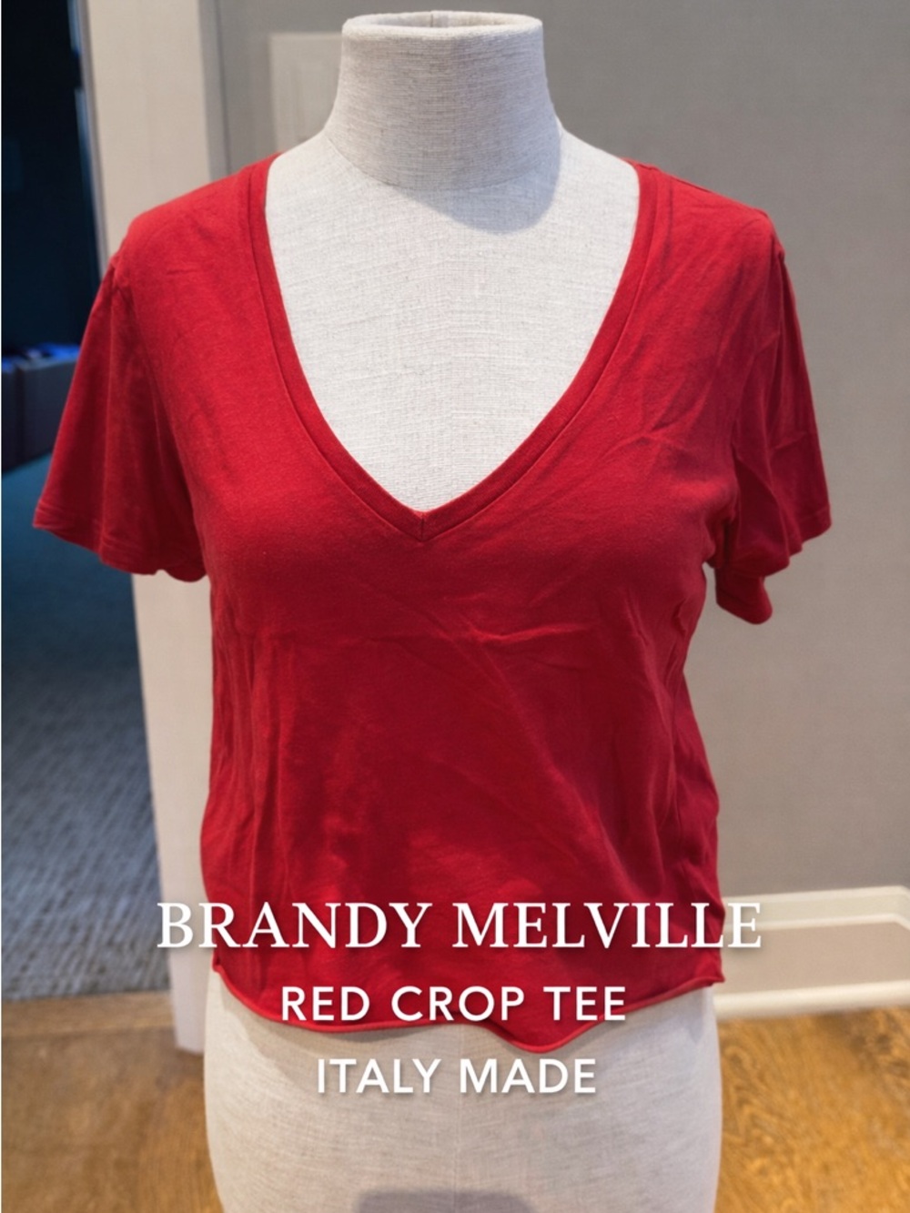Brandy Melville Red Cropped V Neck Tee Soft Cotton Made in Italy OS